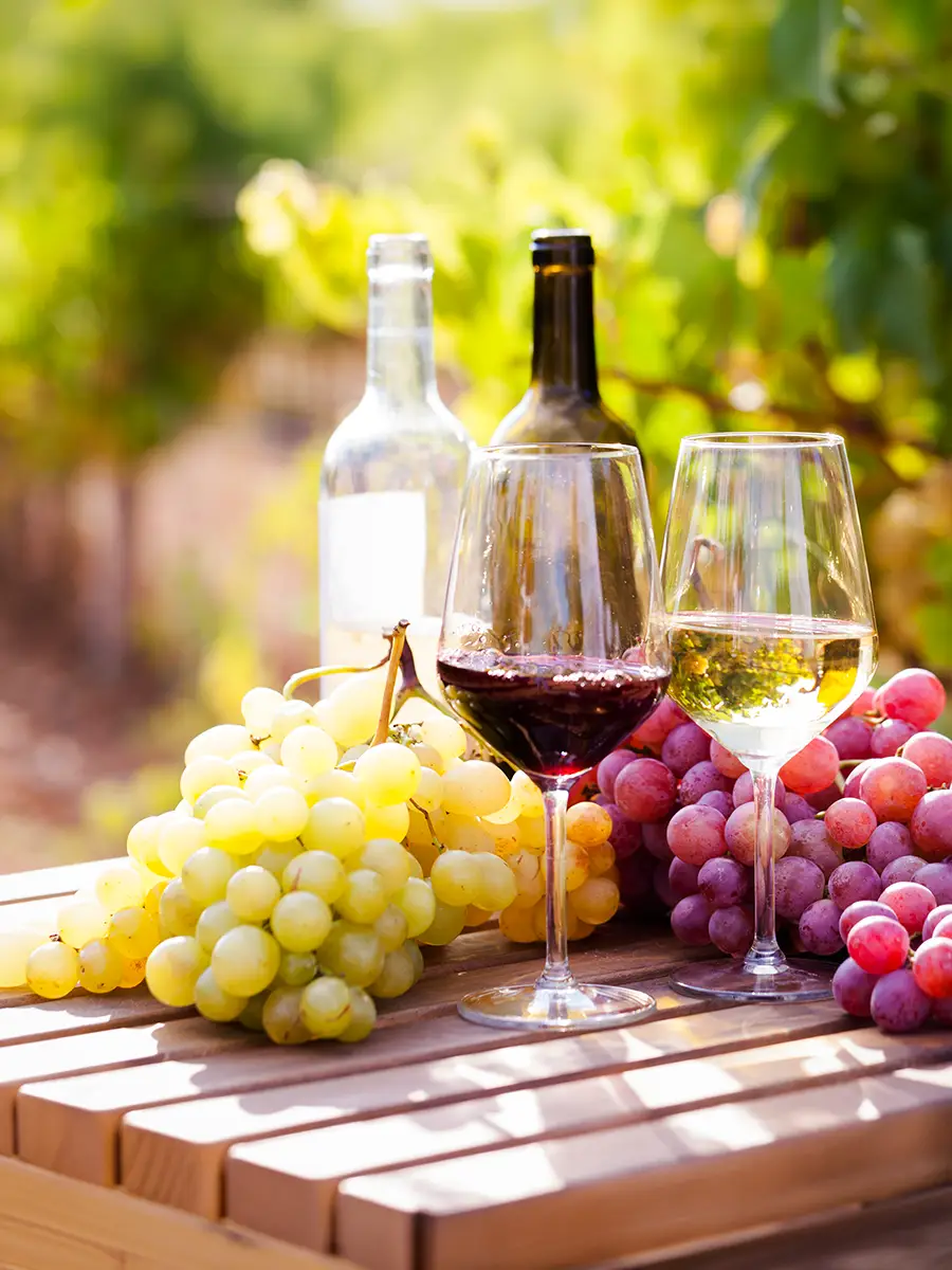 Uncorking the Secrets of Rhodes Wine Culture